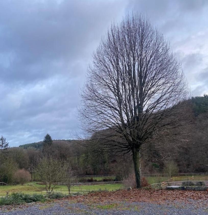 Le Ranch Des Aguesses Villa Andenne Exteriör bild