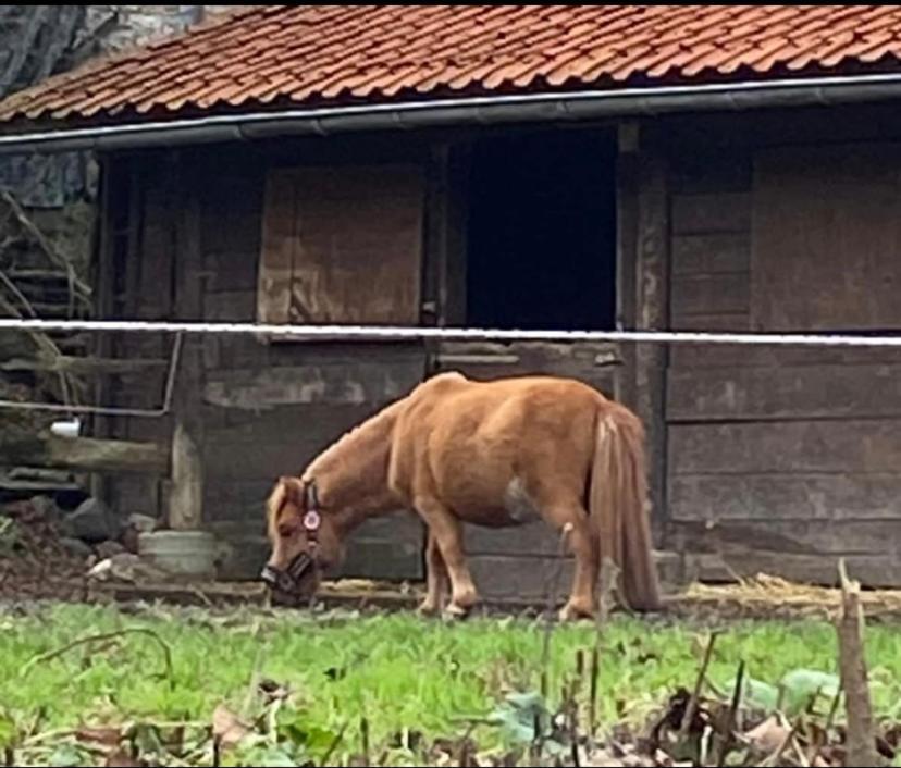 Le Ranch Des Aguesses Villa Andenne Exteriör bild