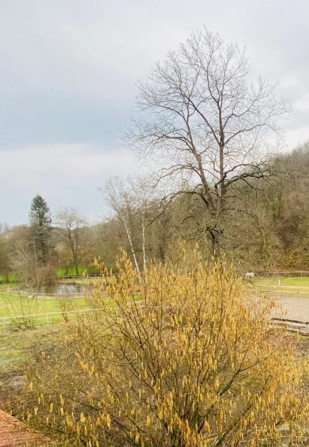 Le Ranch Des Aguesses Villa Andenne Exteriör bild