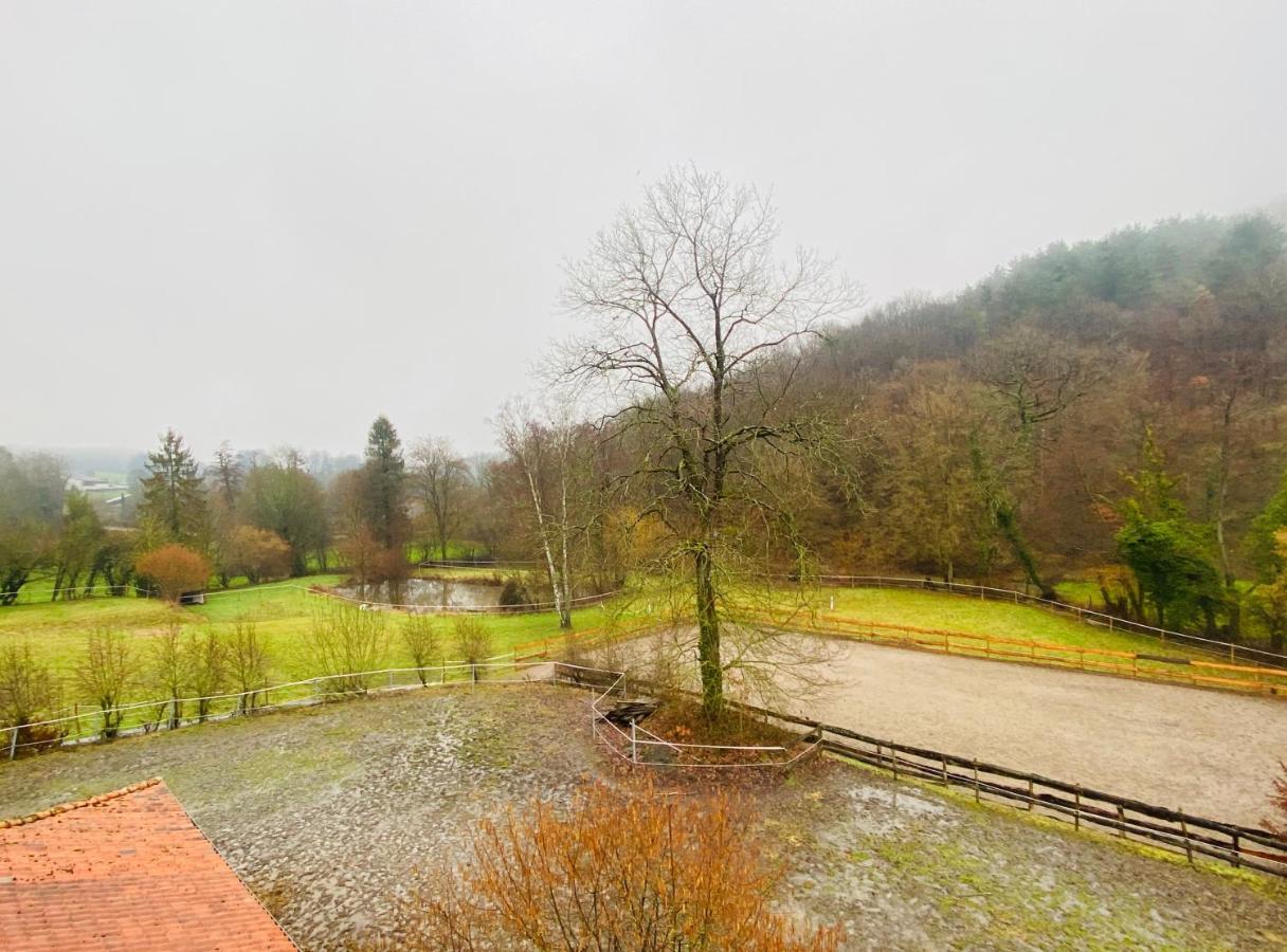 Le Ranch Des Aguesses Villa Andenne Exteriör bild