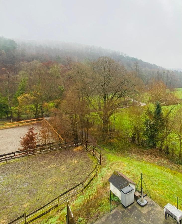 Le Ranch Des Aguesses Villa Andenne Exteriör bild