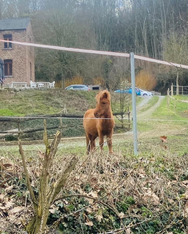 Le Ranch Des Aguesses Villa Andenne Exteriör bild